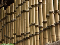 Bordures Bamboo - Jardin Bordures et bords à l'aide Bamboo
