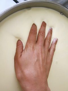 Étapes de base de Comment faire du fromage 8 étapes (avec photos)