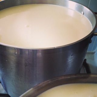 Étapes de base de Comment faire du fromage 8 étapes (avec photos)