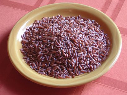 Types de base de riz