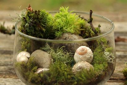 Belle Bricolage Terrarium Made Easy - un morceau de Rainbow