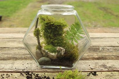 Belle Bricolage Terrarium Made Easy - un morceau de Rainbow