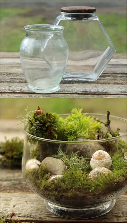 Belle Bricolage Terrarium Made Easy - un morceau de Rainbow