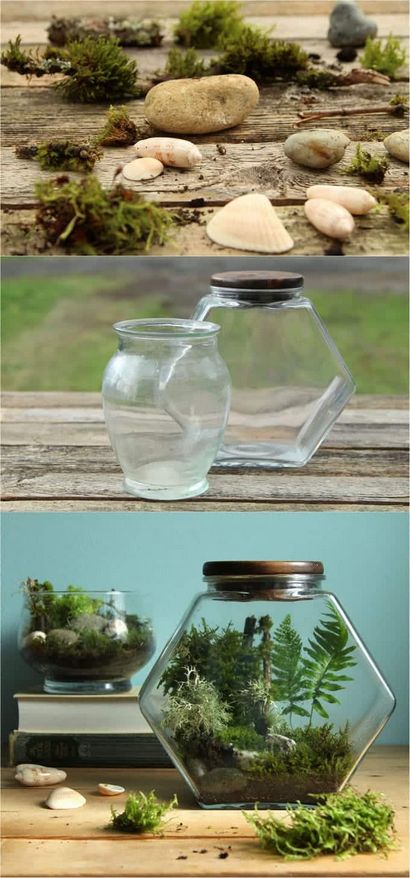 Belle Bricolage Terrarium Made Easy - un morceau de Rainbow