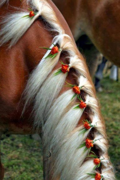 Belle Coiffures Cheval - Cowboy magie (magie) Belles coiffures de chevaux - Cowboy magiques