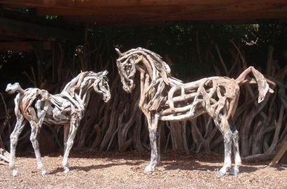 La beauté sauvera des chevaux élégants coiffures - La beauté sauvera