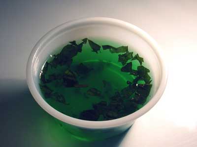 Meilleur dégustation Jell-O Plan Recettes (meilleur) Les meilleurs dégustation Jell-O Recettes Shot