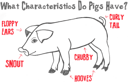 Guide grand pour dessin Cartoon Pigs avec des formes de base pour les enfants - Comment dessiner étape par étape Dessin