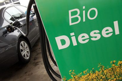 Biodiesel aus Algen - M - Das Entdeckermagazin