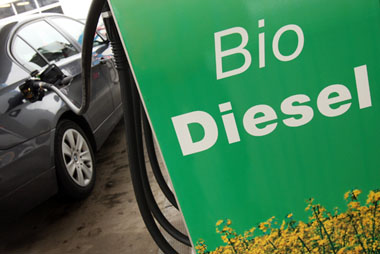 Biodiesel issu des algues - M - Le Magazine