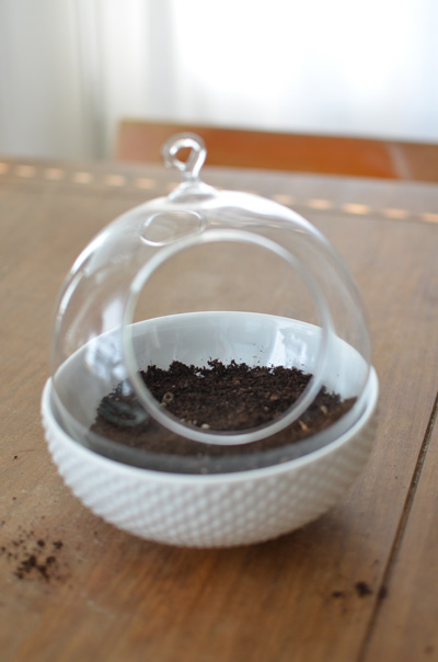 Mélangeant belle - Comment faire votre propre Terrarium