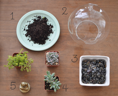 Mélangeant belle - Comment faire votre propre Terrarium