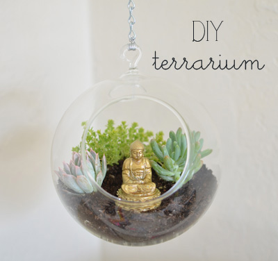 Mélangeant belle - Comment faire votre propre Terrarium