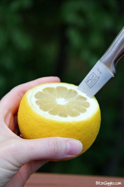 Blaue Himbeere Lemonade Jello Slush - Seite 2 von 2 - dieses dummen Mädchen - s Kitchen