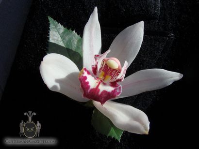 Blume im Knopfloch - Revers Flower Pin-Führer