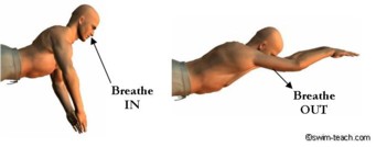 Atemtechnik für Brust
