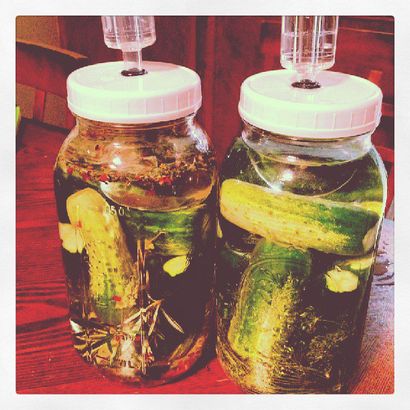 Sole-Gehärtete Pickles - 2 Wege für die doppelte verziehen! WoolfsClothing