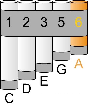 Bauen und Spielen Pan Pipes von Phil - Sarah Tulga