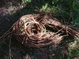 Der Aufbau birchbark Kanus - Schritt für Schritt Anleitung