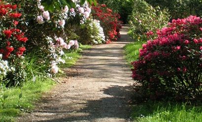 Chemins de jardin pour les débutants