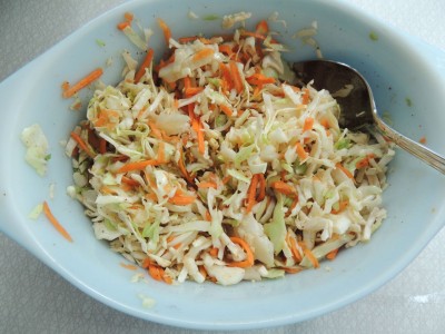 Burger Slaw, Plate Sud