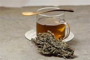 Acheter armoise Avantages de thé et de préparation, thés à base de plantes en ligne