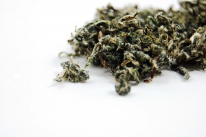 Acheter armoise Avantages de thé et de préparation, thés à base de plantes en ligne