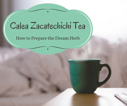 Calea Zacatechichi Tea Wie der Traum Herb vorbereiten