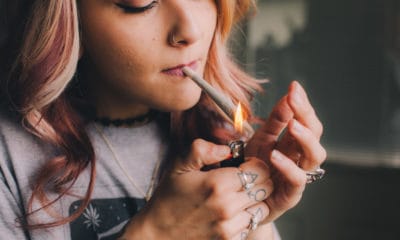 Cannagar un cigare entièrement en Cannabis - Vert Rush Daily