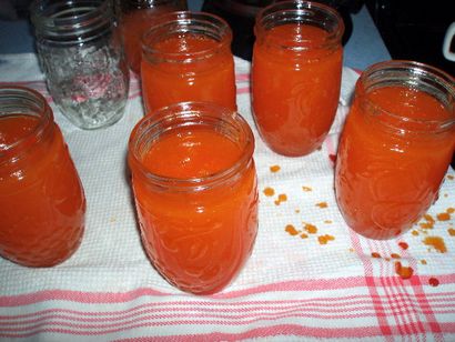 Canning Aprikose Sirup, Hestia - s Kitchen