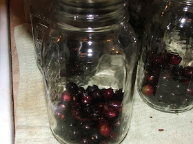 Mise en conserve Granny Canning Muscadine Juice (Mama Easy Way)