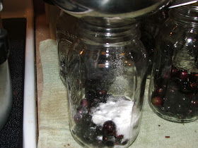 Mise en conserve Granny Jus Canning Muscadine (Mama Easy Way) (mise en conserve) Mise en conserve Granny Canning Muscadine Juice (Mama Easy Way)