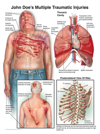 Carrières - Association des Illustrateurs médicaux