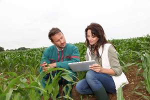 Les carrières en agriculture & amp; Sylviculture