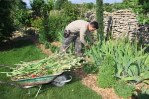 Karriere in der Landwirtschaft & amp; Forstwirtschaft