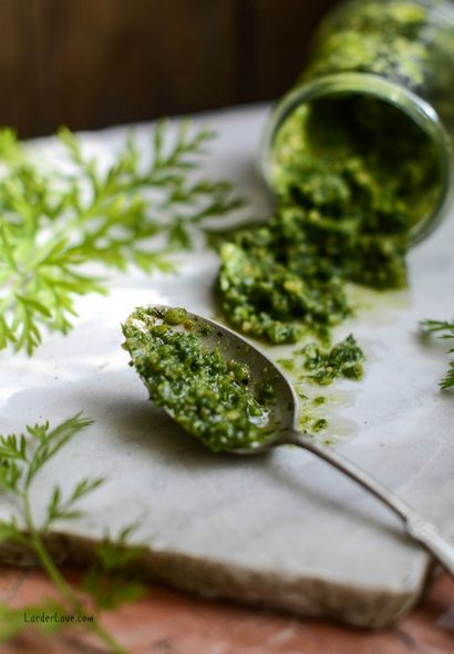 Carotte haut pesto (pesto) Carotte haut pesto