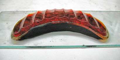 Objectifs de moulage feux arrière (lumière) Lentilles de coulée feux arrière