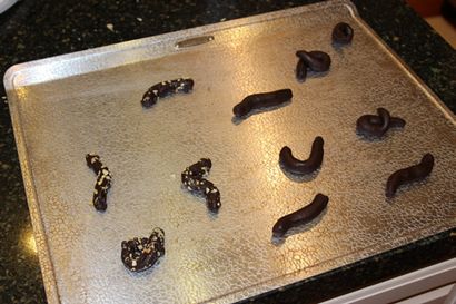 Cat Poop Cookies pour Fool Avril - Day, Sweet Dreams gâteau App - IPhone, IPad, IPod décoration de gâteau (rêves doux blog de l'application gâteau) Cat Poop biscuits pour poisson d'Avril - Day, Sweet Dreams gâteau App - IPhone, IPad, IPod décoration de gâteau