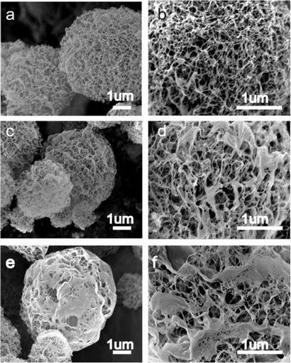 Cellulose nanofibrilles microréacteurs à base aérogel un rendement élevé et facile Recouvrable W