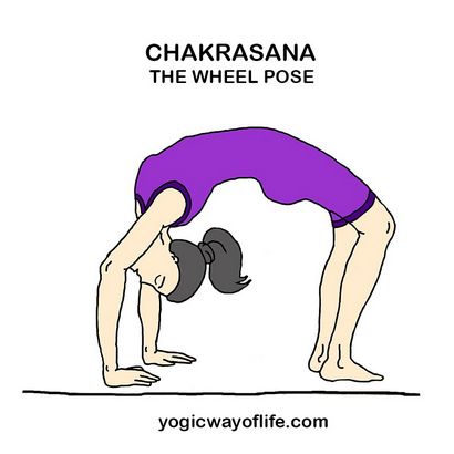 Chakrasana (Rad-Pose) - Yoga Asana für Fitness von Rücken und Wirbelsäule, Yogische Way Of Life