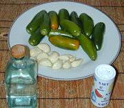 Chatni recette de sauce, sauce au piment vert, Chatney, sauce piquante indienne, sauce