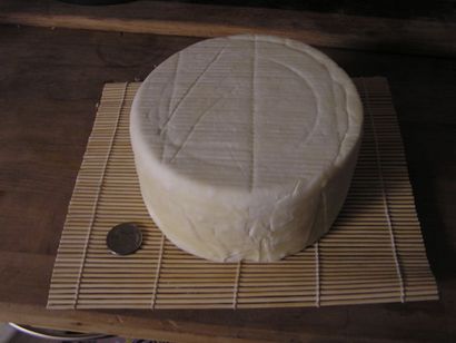 Käseherstellung - Hartkäse 12 Schritte (mit Bildern)