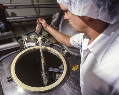 Fromage Processus de Fabrication, produits laitiers Burnett