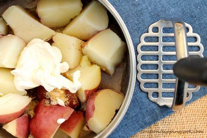 Cheesy Mash de pommes de terre rouge, coupon Clipping Cook (fromage) Cheesy Pomme de terre rouge Mash, coupon Clipping Faire cuire
