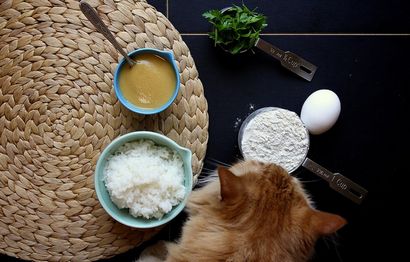 Chewy Katzen-Leckerli für Katzen, Freude der Baker