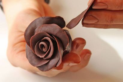 Roses chocolat photo Tutoriel