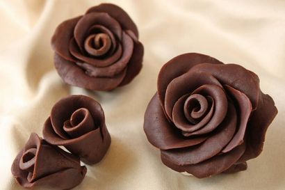 Roses chocolat photo Tutoriel