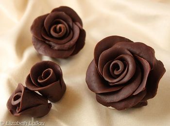 Roses chocolat photo Tutoriel