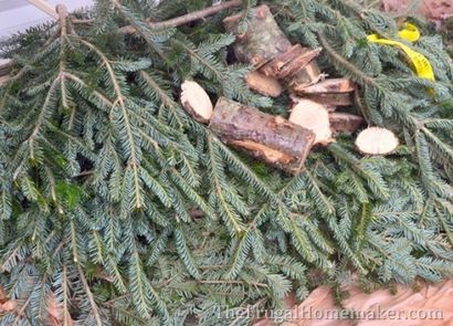 Grapevine Noël - couronne à feuilles persistantes (faite avec des boutures d'arbres libres!) - Le Frugal Homemaker