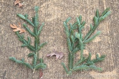Grapevine Noël - couronne à feuilles persistantes (faite avec des boutures d'arbres libres!) - Le Frugal Homemaker